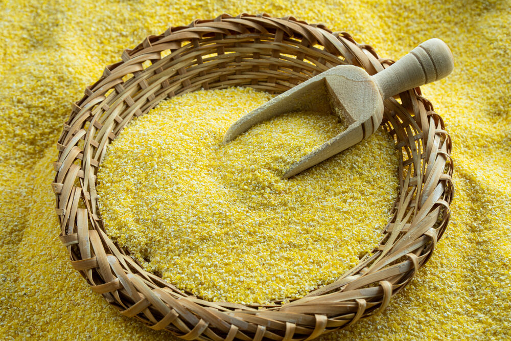 Corn masa
